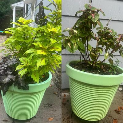 2 Large Green Pots With Plants And Their Stands