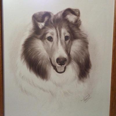 Collie Lovers Beautiful Print (And Bonus Items)