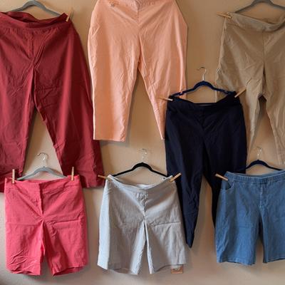 Lot Of (7) Capri Pants & Shorts Women’s Size 24W