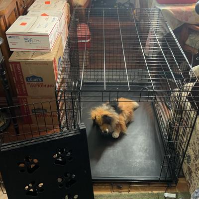Dog Krates And Fence