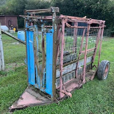 cattle chute