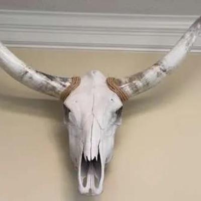 Longhorn Skull