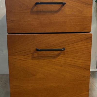 Rolling File Cabinet