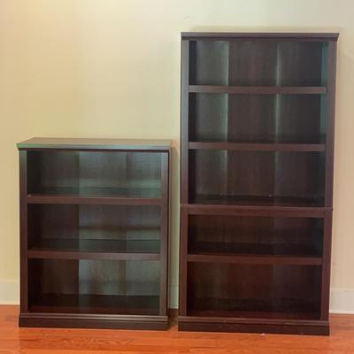 Bookshelves #1