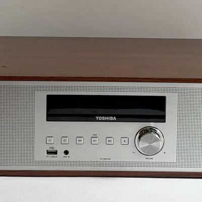 Toshiba TY-CWU700 Audio System
