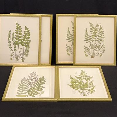 Botanical Art Prints (6)