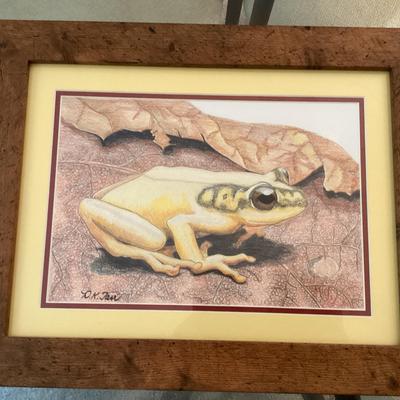 Tree Frog Drawing