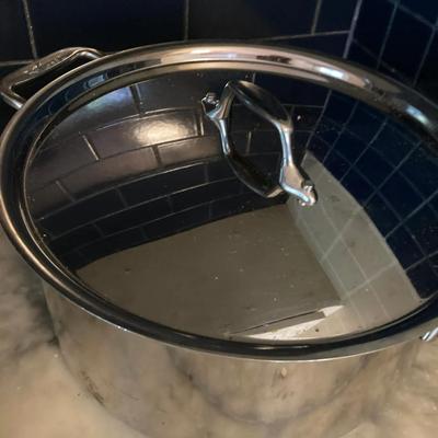All-Clad Stainless Steel Stockpot with Lid