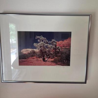 Sale Photo Thumbnail #181