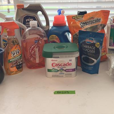 BH623 Cleaning And Laundry