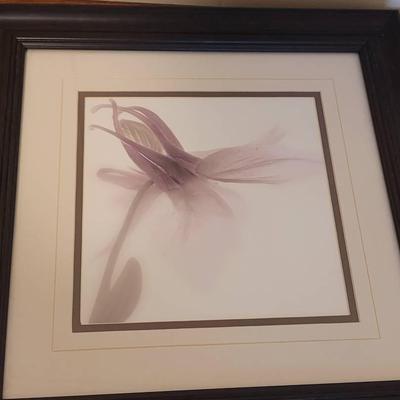 Donna Geissler Decor Orchid Photo Print Framed