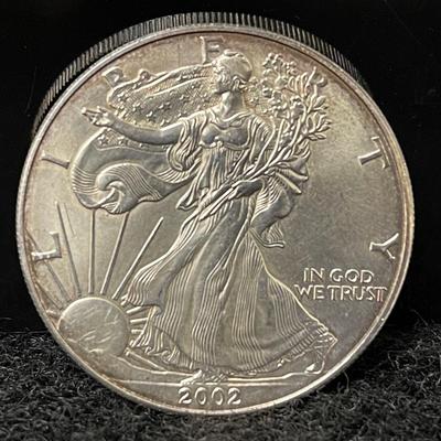 2002 Silver American Eagle Dollar