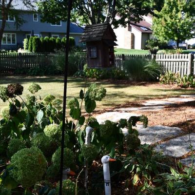 1265 back yard