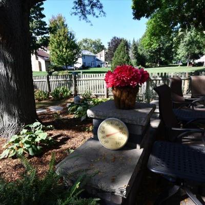 1274 back yard