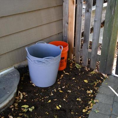 1259 back yard