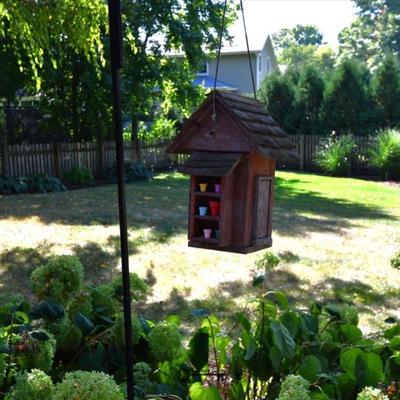1261 back yard