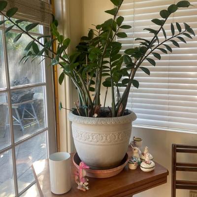 Sale Photo Thumbnail #204: Plants 
