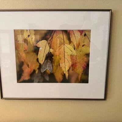 Sale Photo Thumbnail #113