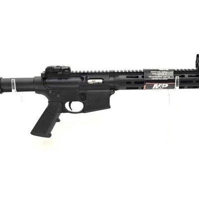 700 • new!!! smith & wesson m&p15 sport .22lr semi auto rifle