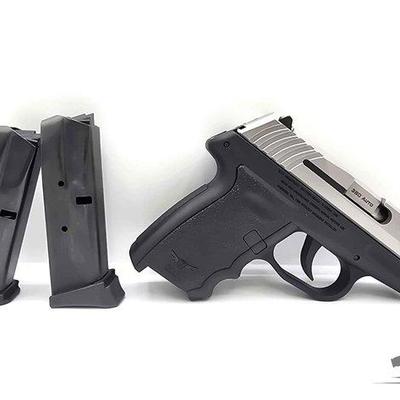 254 • sccy cpx 3 .380 auto semi auto pistol