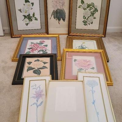 Collection of Signed Floral Prints