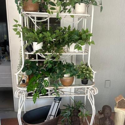 Lots of Plants and Pots