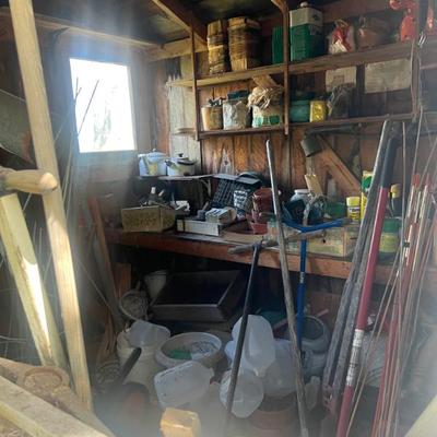 Sale Photo Thumbnail #318