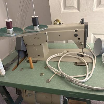 Professional sewing machine for the expert and another for the hobbyist