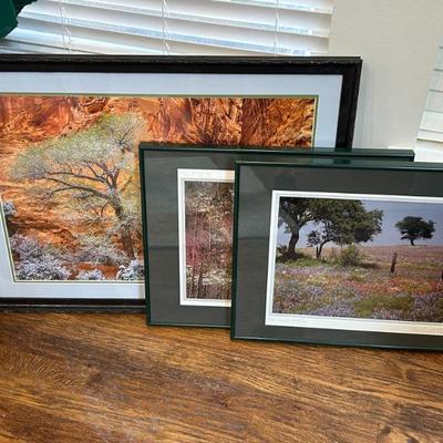 Sale Photo Thumbnail #277