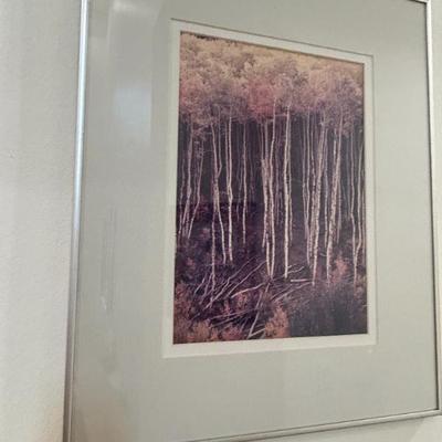 Sale Photo Thumbnail #373