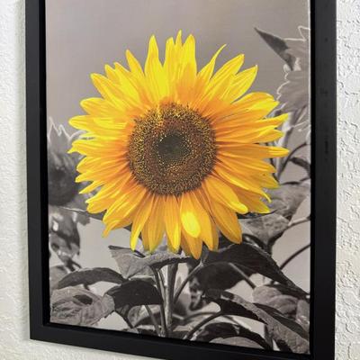 Sale Photo Thumbnail #316
