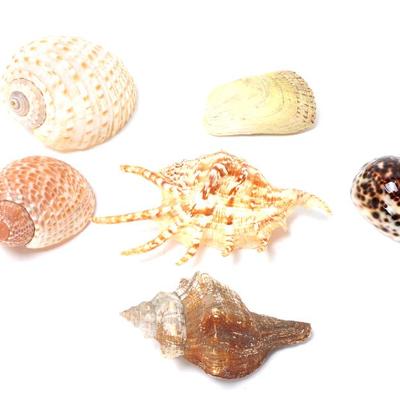 Sale Photo Thumbnail #158