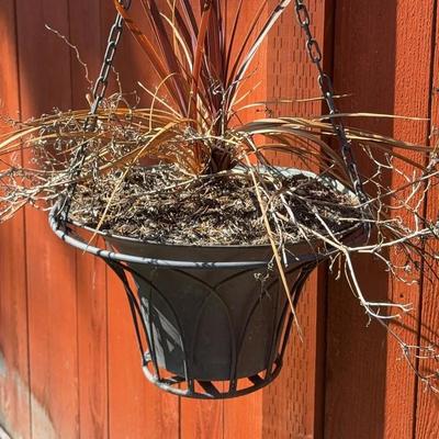 Hanging Planter 