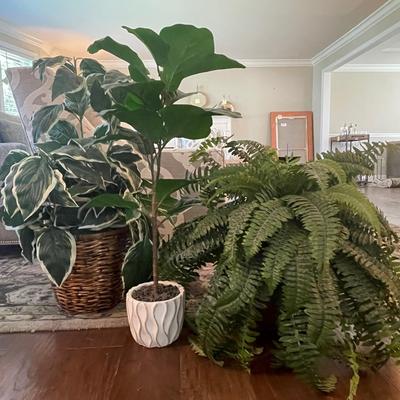 Faux Plants #4
