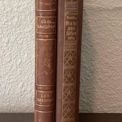 Vintage Translated from Danish Books Early Century Editions 
