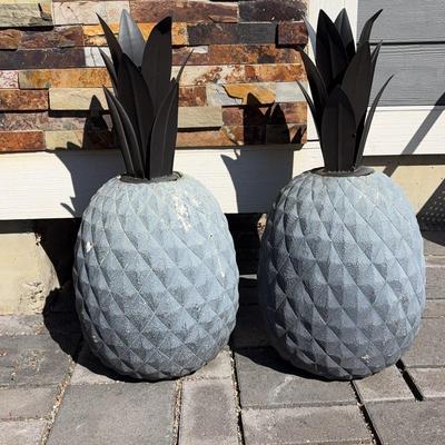Outdoor Pineapples 