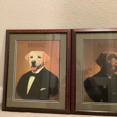 Dog Portraits 