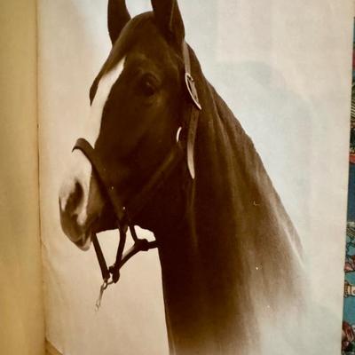 Sale Photo Thumbnail #125