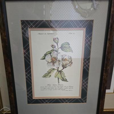 Sale Photo Thumbnail #46: Several framed prints
