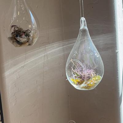 3 Hanging Glass Terrariums