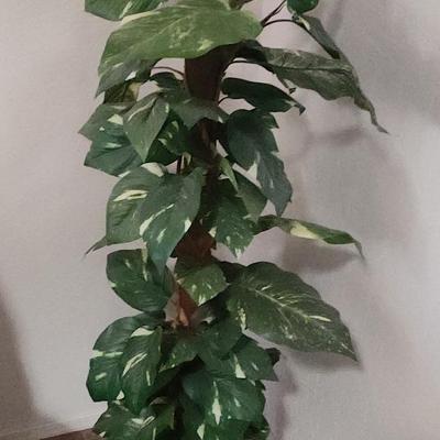 Artificial Golden Pothos