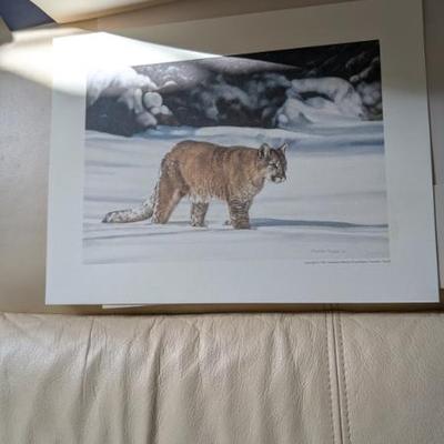 Sale Photo Thumbnail #106