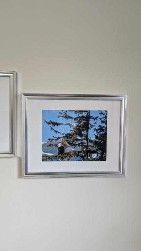 Sale Photo Thumbnail #263