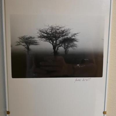 Sale Photo Thumbnail #54