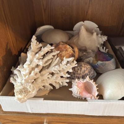 Sale Photo Thumbnail #65