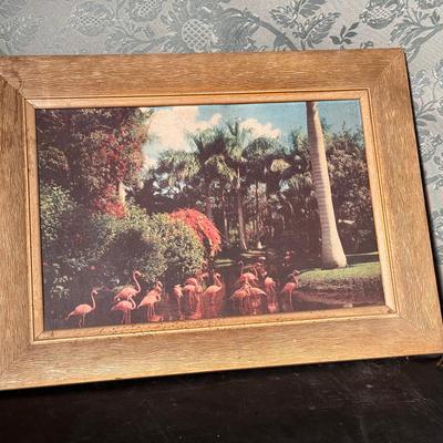 Framed Illuminating Flamingo Image