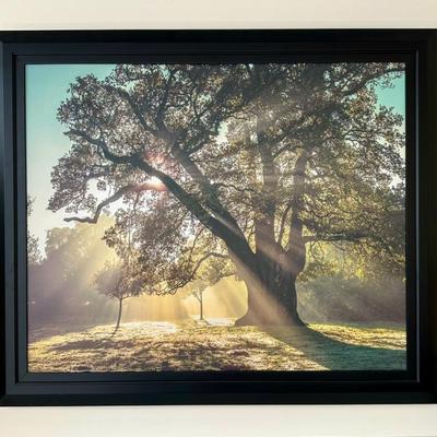 Sale Photo Thumbnail #130