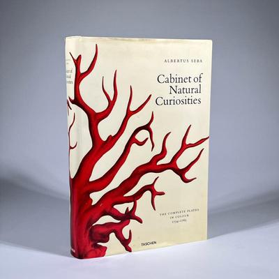 CABINET OF NATURAL CURIOSITIES
