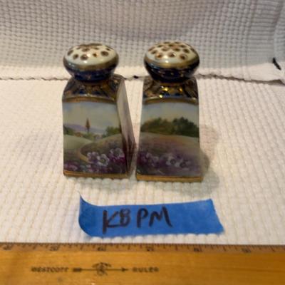 Nippon Hand-Painted Salt And Pepper Shakers