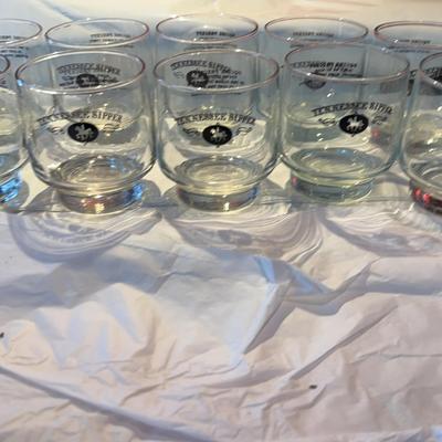 10 Tennessee Sipper Cocktail Glasses 